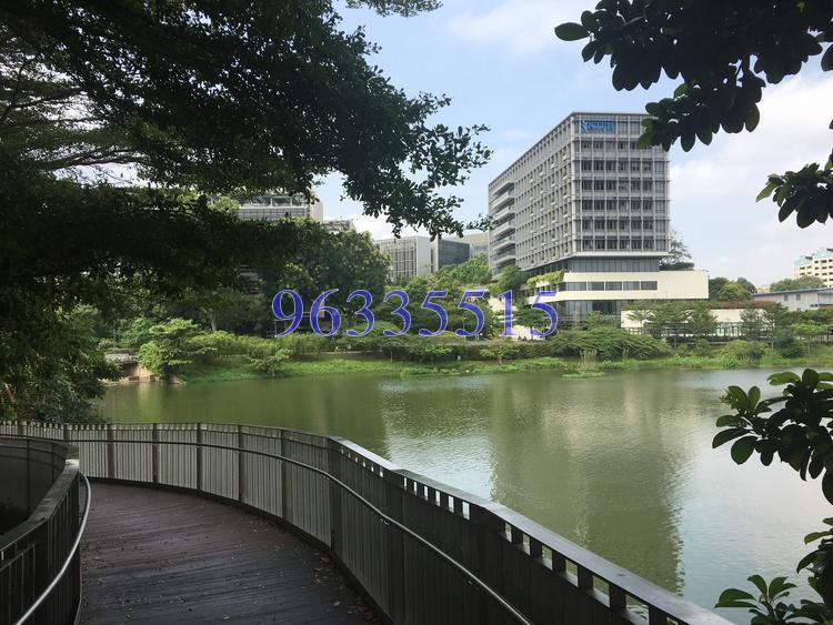 Blk 451 Yishun Ring Road (Yishun), HDB 4 Rooms #167654012